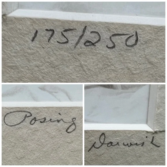 Hand colored Limited Edition Norm Darwish “Posing” Black & White Photograph - Picture 6 of 8